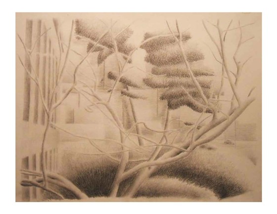 Drawings and Graphics: Drawings